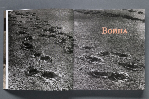 "Дикое поле. В вечном движении"